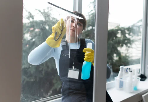 Nettoyage de vitres intérieures et extérieures à Manglieu